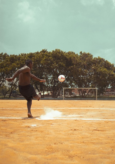 他们凭借精 他们凭借精