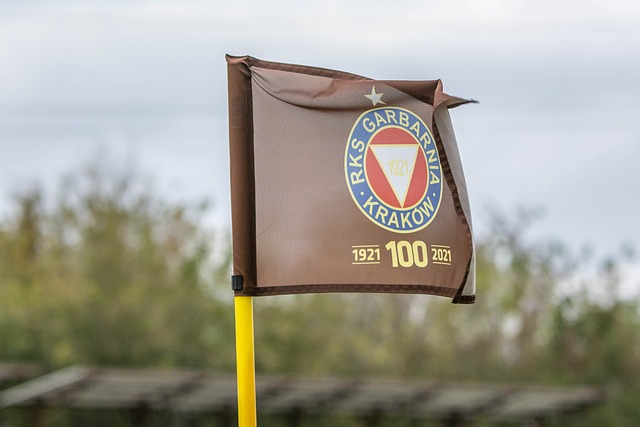 总的来说 总的来说