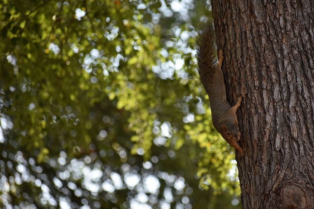 此次中国队 此次中国队